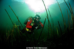 Winter dive in the Baltic ... water temperature -1C by Henrik Gram Rasmussen 